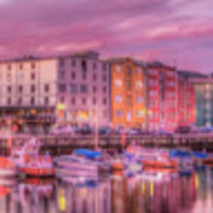 Meet your Posher, Ella